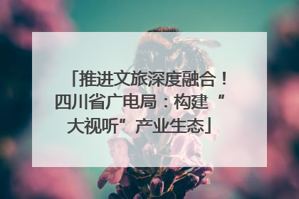 推进文旅深度融合！四川省广电局：构建“大视听”产业生态